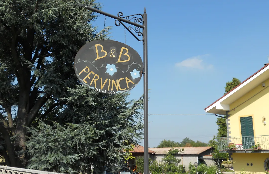 B&B Pervinca-1
